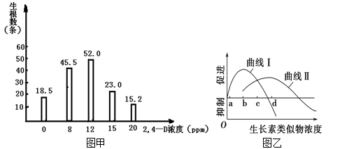 图片_x0020_100028