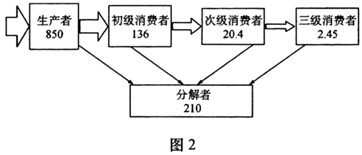 图片_x0020_100017