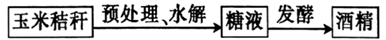 图片_x0020_100019