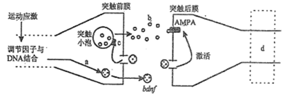 图片_x0020_100026