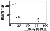 图片_x0020_1830548246