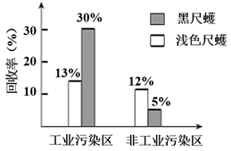 图片_x0020_407985687