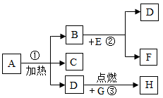 图片_x0020_1293895244