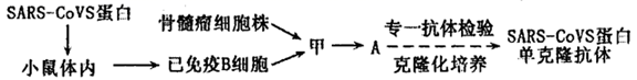 图片_x0020_100012