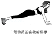 图片_x0020_540977502