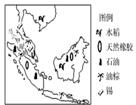 图片_x0020_100002