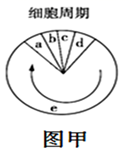 图片_x0020_100022