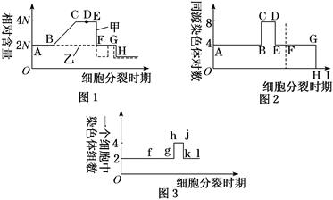 图片_x0020_100025