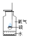 图片_x0020_100009