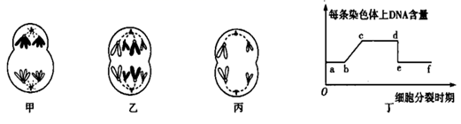 图片_x0020_100003