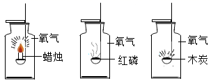 图片_x0020_1045796659