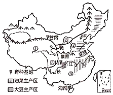 图片_x0020_1784067124