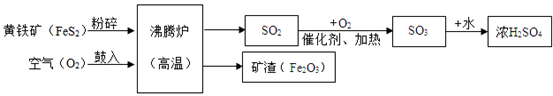 图片_x0020_100016