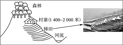 图片_x0020_1069204313