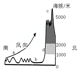 图片_x0020_100006