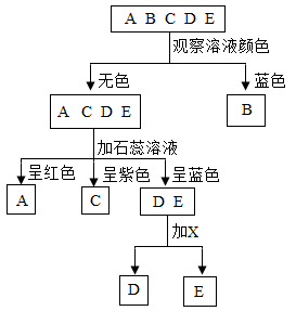 图片_x0020_1080187577