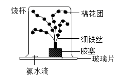 图片_x0020_1359753890