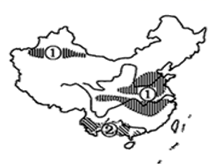 图片_x0020_100017