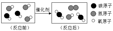 图片_x0020_100001