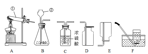 图片_x0020_246154351