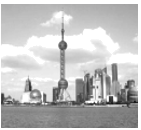 图片_x0020_100016