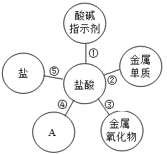 图片_x0020_1770630217