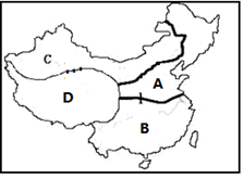 图片_x0020_100004