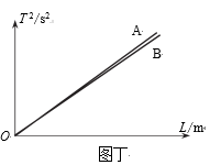 图片_x0020_100019