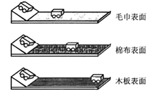 图片_x0020_100029