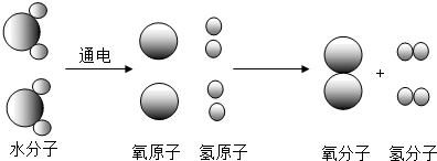 图片_x0020_958488893