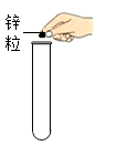 图片_x0020_100004
