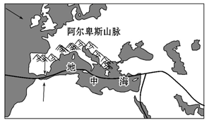 图片_x0020_100027