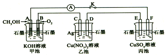 图片_x0020_2038060174