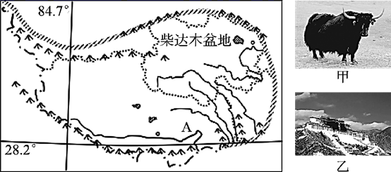 图片_x0020_1872465169