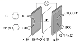 图片_x0020_100019