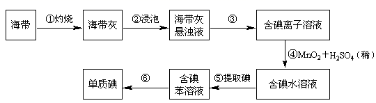 图片_x0020_100016