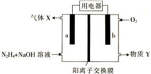 图片_x0020_100007