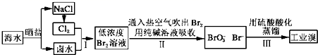 图片_x0020_100010