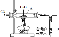 图片_x0020_100008