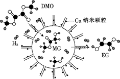 图片_x0020_100002