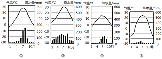图片_x0020_1791253303