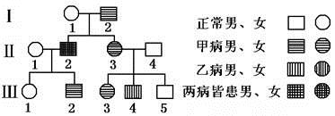 图片_x0020_943233459
