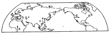 图片_x0020_100008