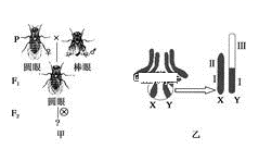 图片_x0020_621030959