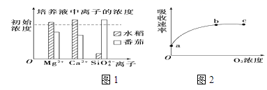 图片_x0020_100016