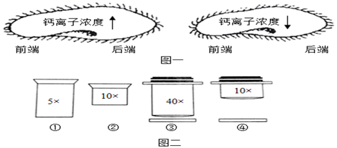 图片_x0020_100026