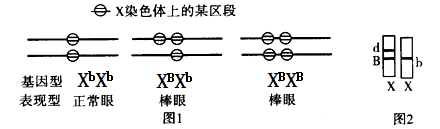 图片_x0020_688154172