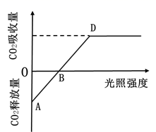 图片_x0020_1429879251