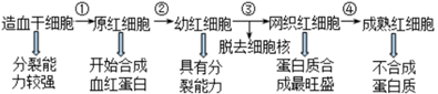 图片_x0020_100015