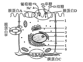 图片_x0020_100022